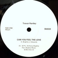 12 / TREVOR HARTLEY / CAN YOU FEEL THE LOVE