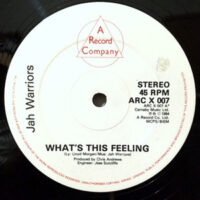 12 / JAH WARRIORS / WHAT'S THIS FEELING