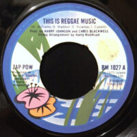 7 / ZAP-POW / THIS IS REGGAE MUSIC