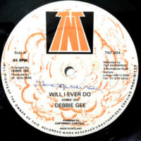 12 / DEBBIE GEE / WILL I EVER DO / LET ME TRY