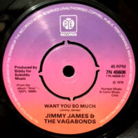 7 / JAMES JAMES & THE VAGABONDS / WANT YOU SO MUCH