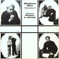 LP / TREVOR WIGGAN & SPASM / MELLOW MIX VOLUME I