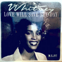 12 / WHITNEY HOUSTON / LOVE WILL SAVE THE DAY (EXTENDED REMIX)